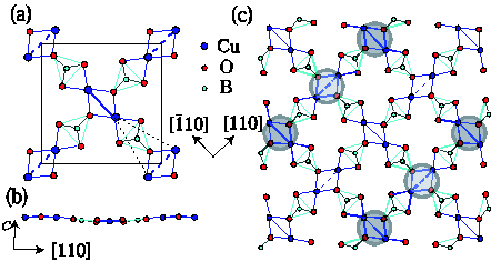 A Novel Ordered Phase in the Frustrated 2D Spin System SrCu2(BO3)2 ...